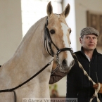 Marian Roden a kůň Timido