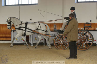 International Equestrian Congress - Horse in...