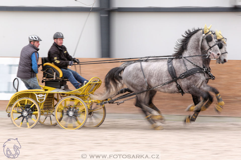 12.3.2017 - spřežení Zduchovice