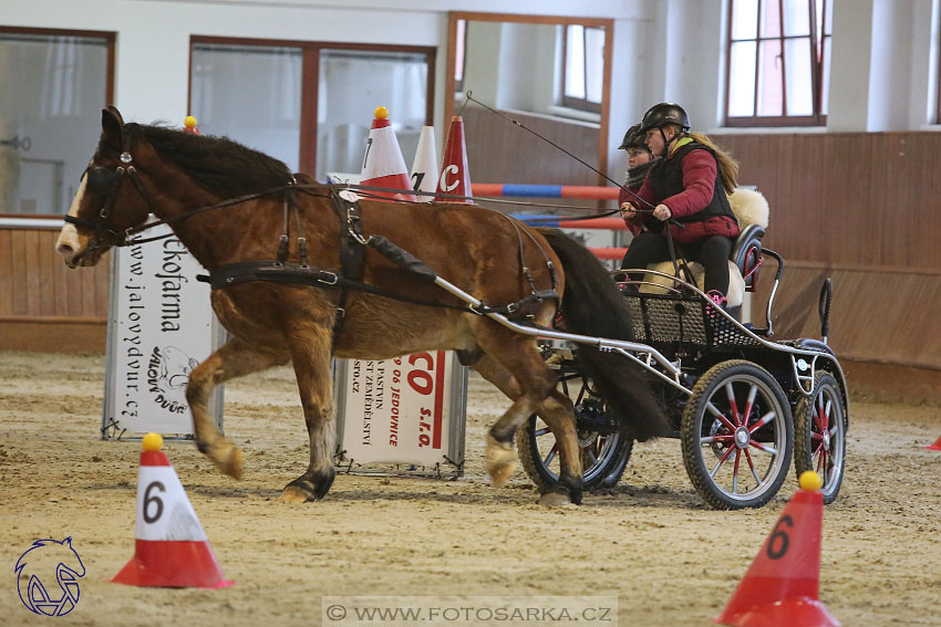 17.2.2018 - hobby spřežení Brno