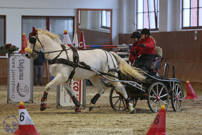 17.2.2018 - hobby spřežení Brno