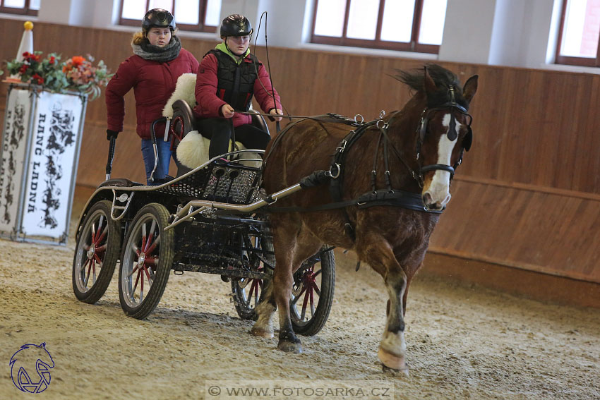 17.2.2018 - hobby spřežení Brno