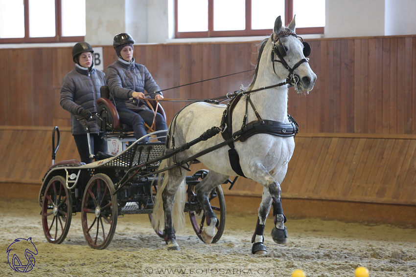 17.2.2018 - hobby spřežení Brno