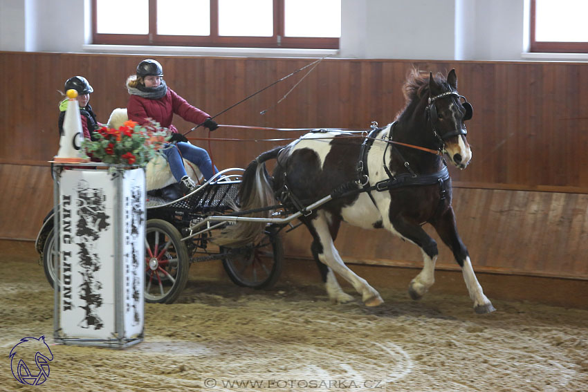 17.2.2018 - hobby spřežení Brno