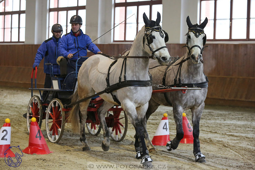 17.2.2018 - hobby spřežení Brno