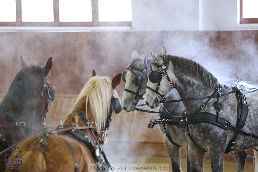 17.2.2018 - hobby spřežení Brno