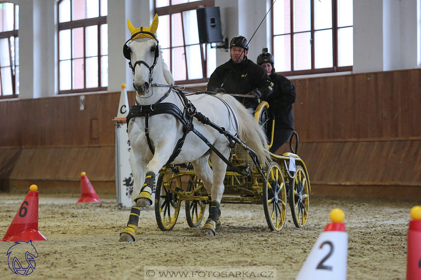 18.2.2018 - spřežení Brno