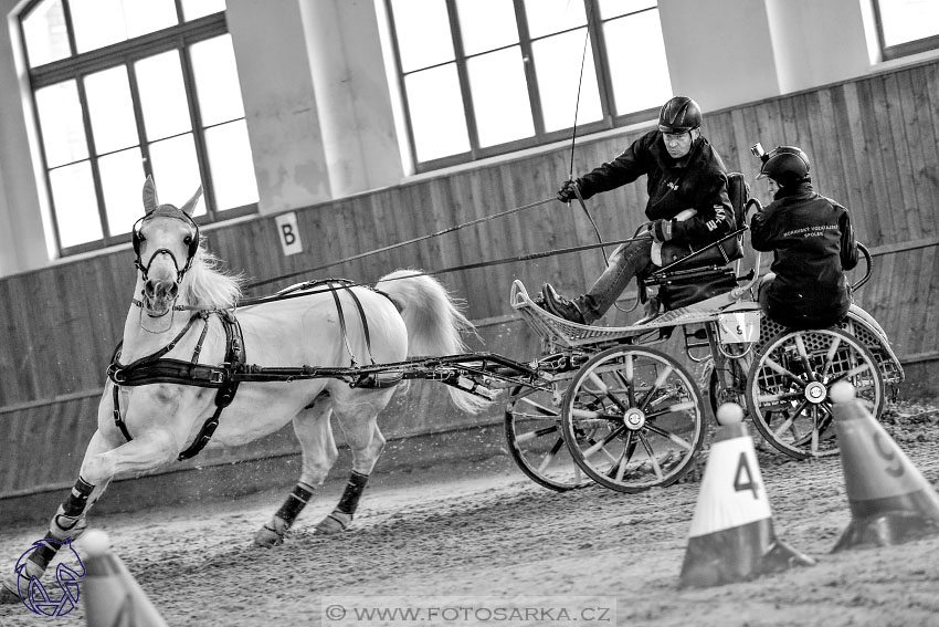 18.2.2018 - spřežení Brno