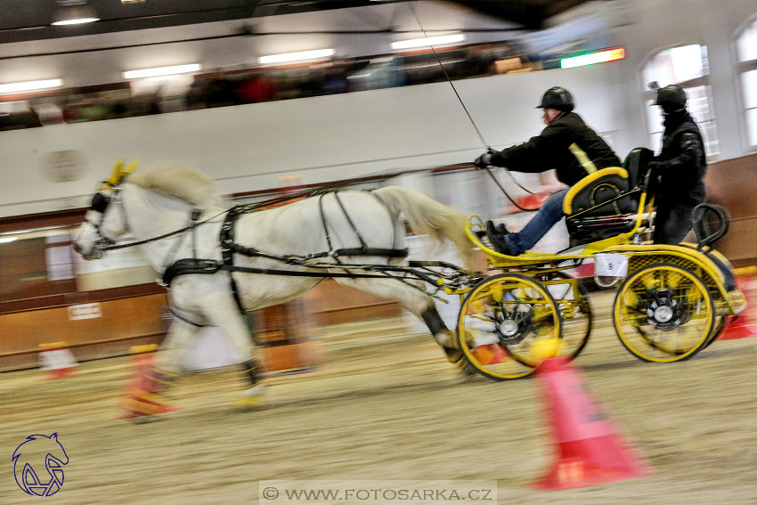 18.2.2018 - spřežení Brno