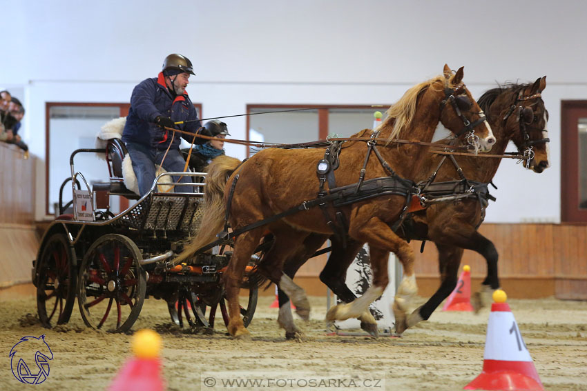 18.2.2018 - spřežení Brno