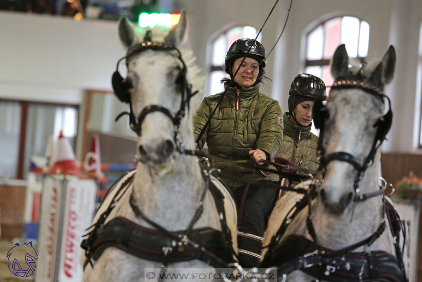 18.2.2018 - spřežení Brno