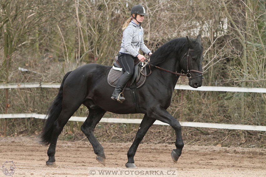 19.3.2016 - Přehlídka koní určených k prodeji NH Kladruby