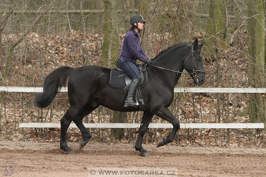 19.3.2016 - Přehlídka koní určených k prodeji NH Kladruby