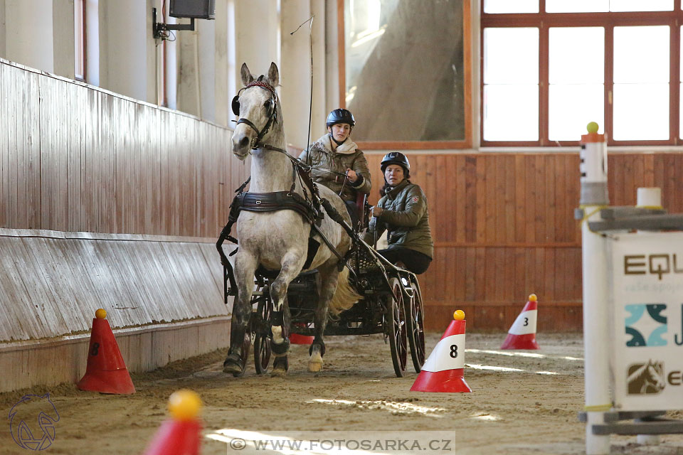 25.2.2017 - spřežení Brno