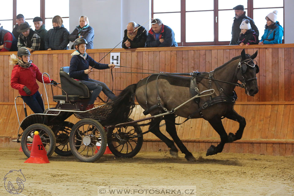 25.2.2017 - spřežení Brno