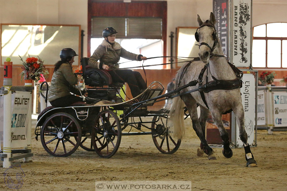 25.2.2017 - spřežení Brno