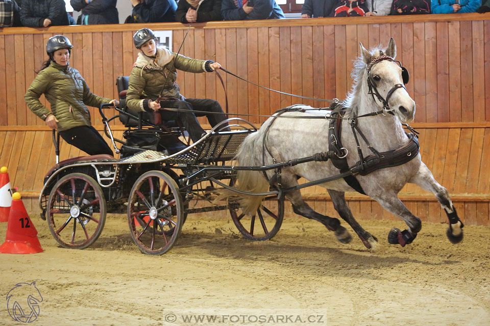 25.2.2017 - spřežení Brno