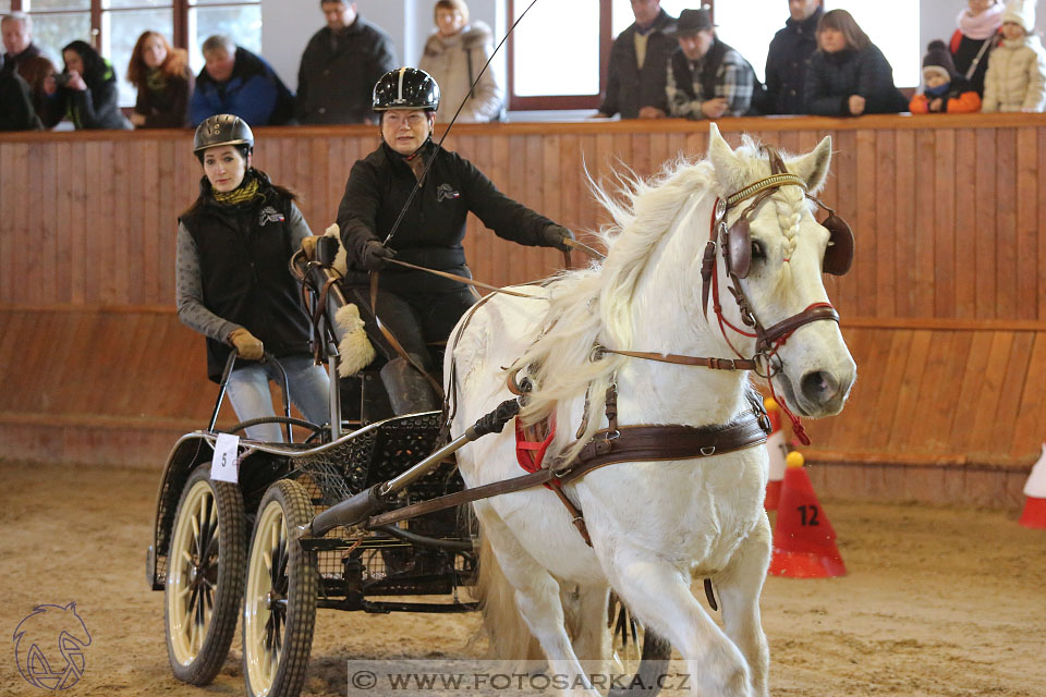 25.2.2017 - spřežení Brno