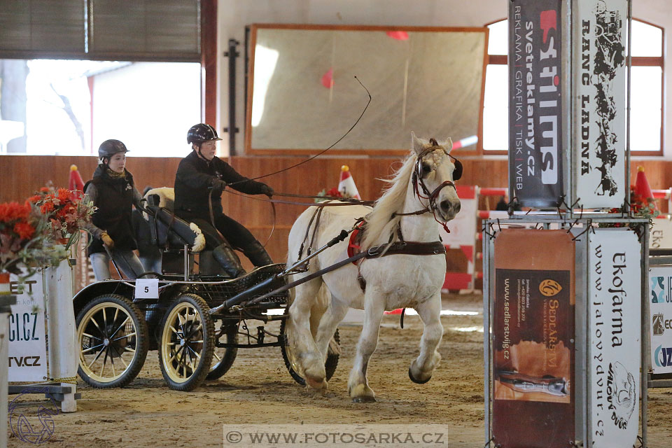 25.2.2017 - spřežení Brno