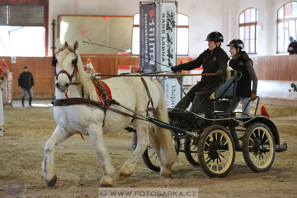 25.2.2017 - spřežení Brno