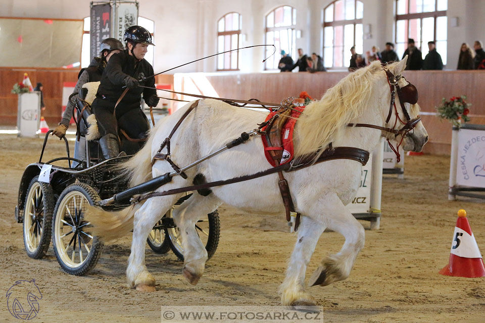 25.2.2017 - spřežení Brno