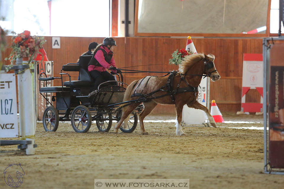 25.2.2017 - spřežení Brno