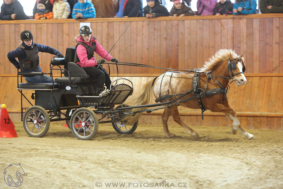 25.2.2017 - spřežení Brno