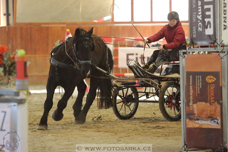 25.2.2017 - spřežení Brno