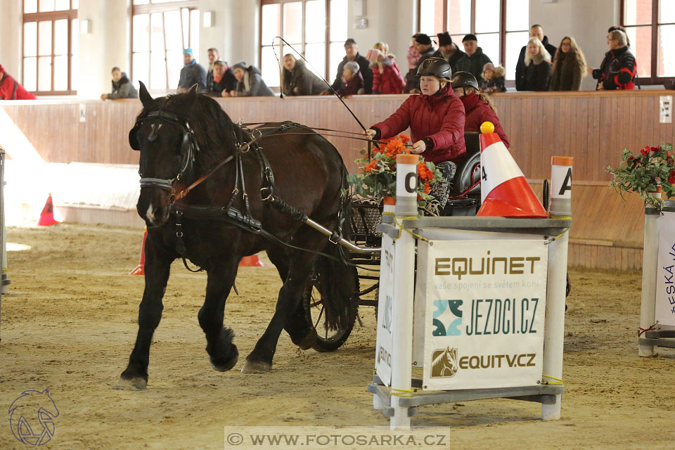 25.2.2017 - spřežení Brno