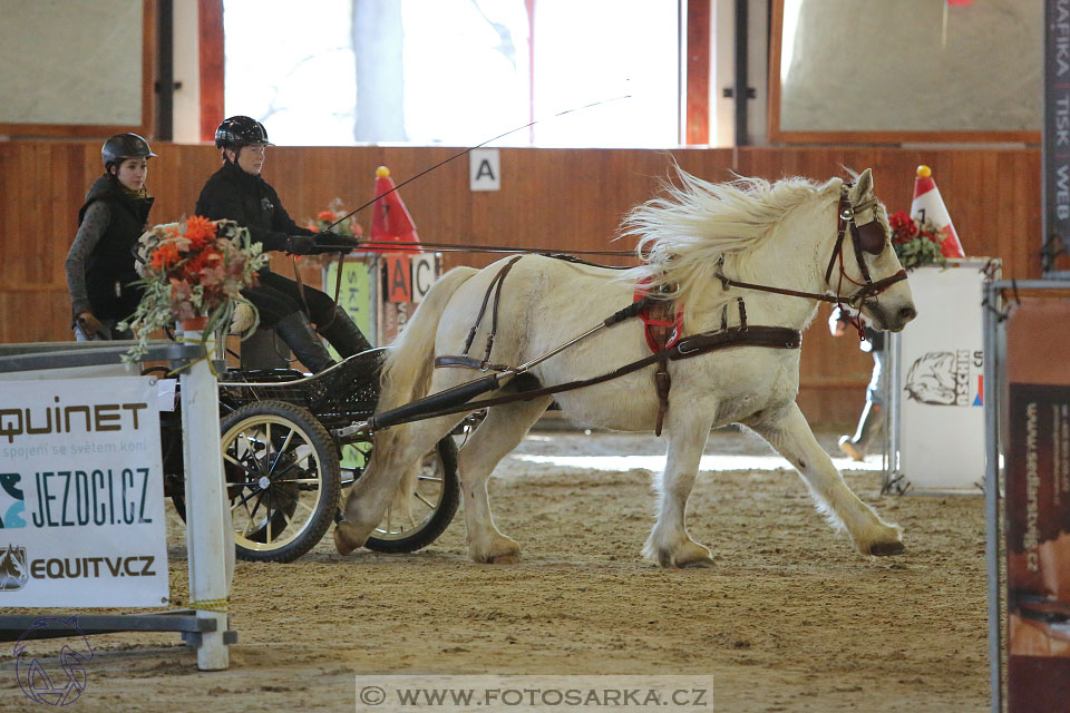 25.2.2017 - spřežení Brno