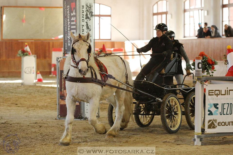 25.2.2017 - spřežení Brno