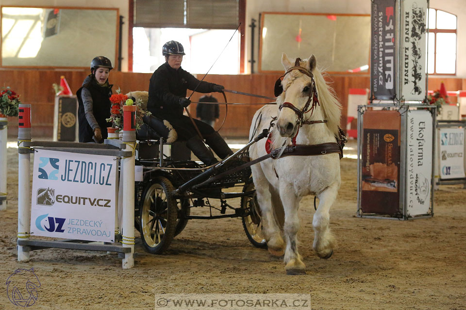 25.2.2017 - spřežení Brno