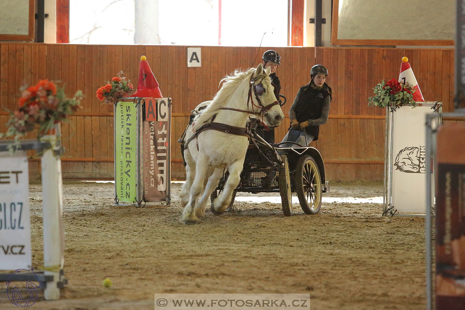 25.2.2017 - spřežení Brno