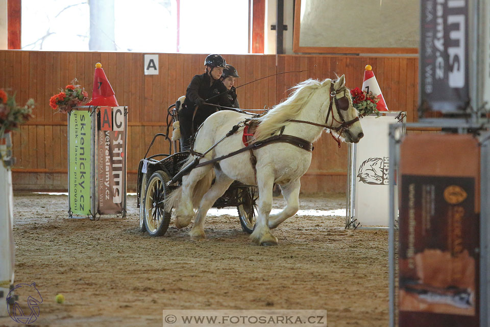 25.2.2017 - spřežení Brno