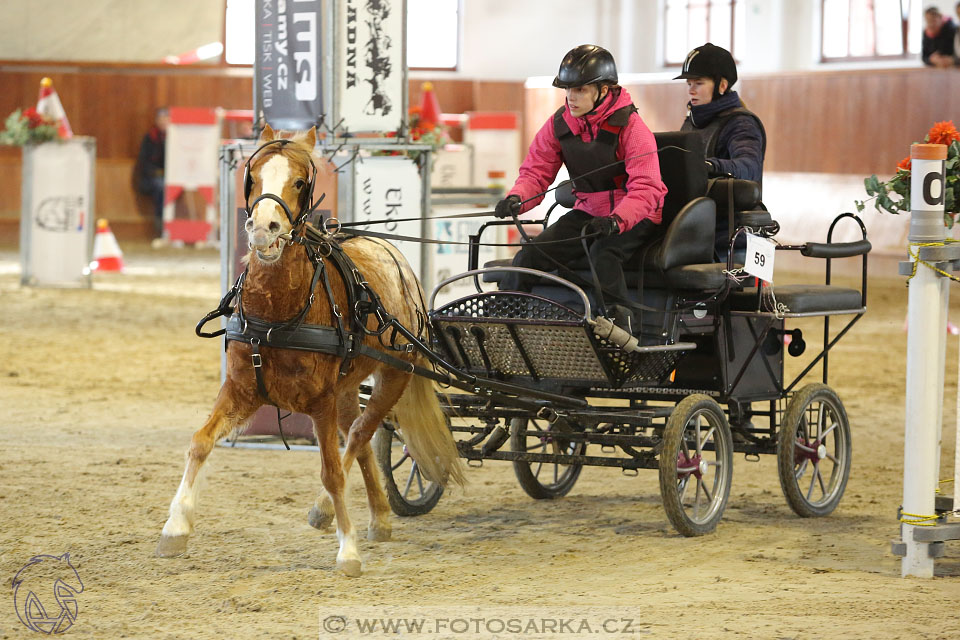 25.2.2017 - spřežení Brno