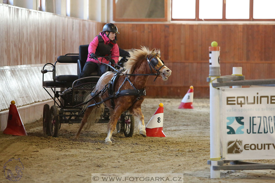 25.2.2017 - spřežení Brno