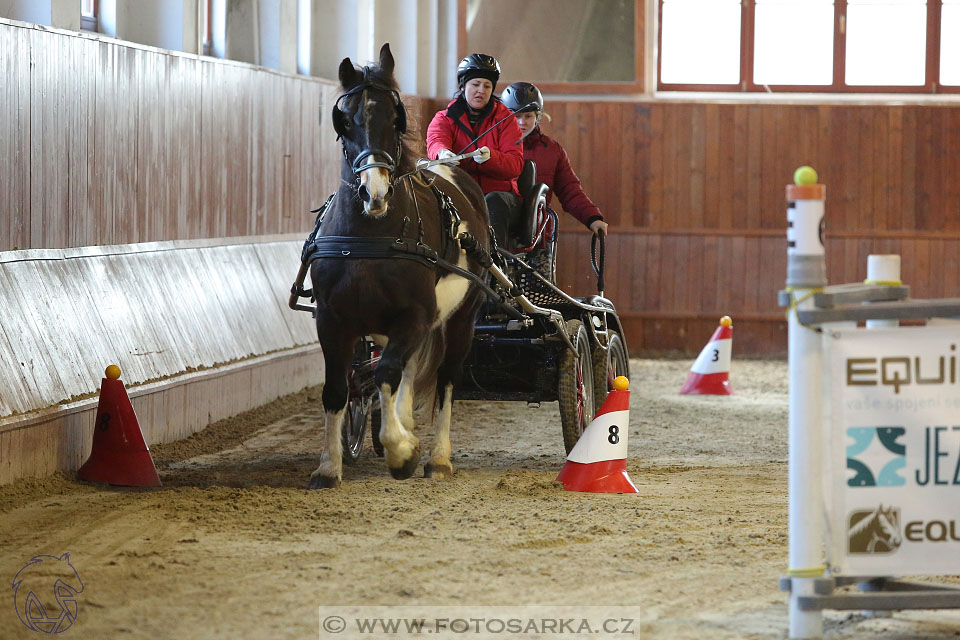 25.2.2017 - spřežení Brno