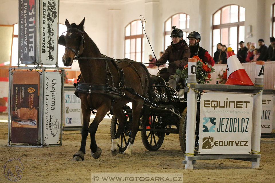 25.2.2017 - spřežení Brno