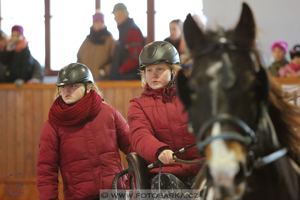 25.2.2017 - spřežení Brno