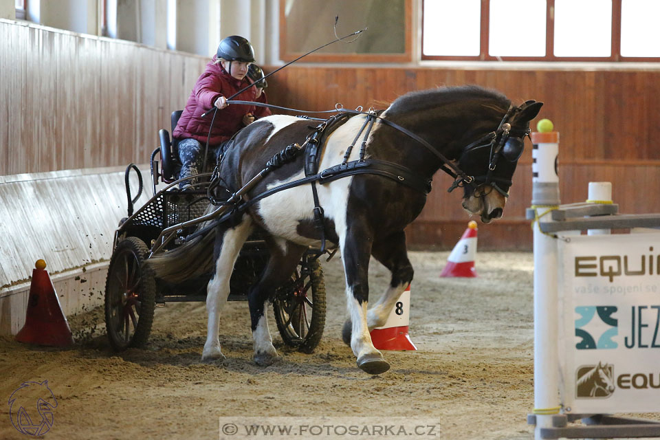 25.2.2017 - spřežení Brno