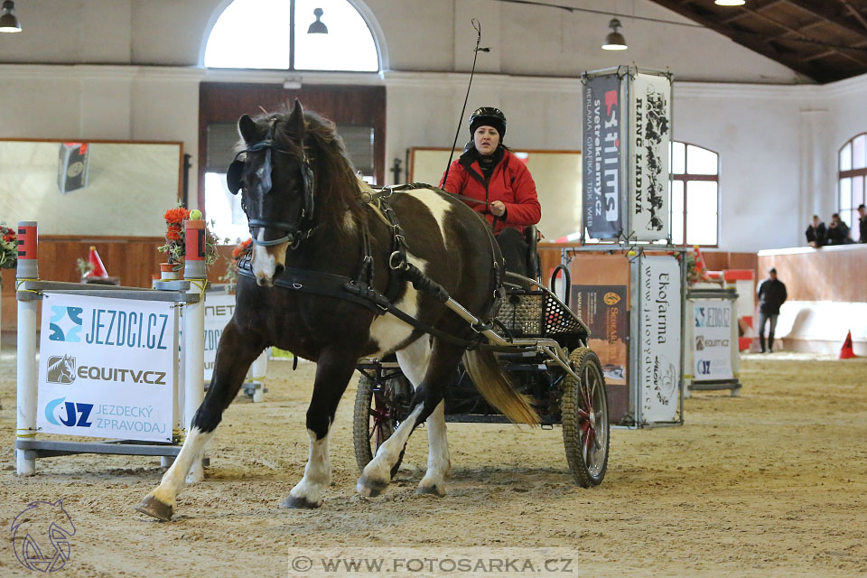 25.2.2017 - spřežení Brno