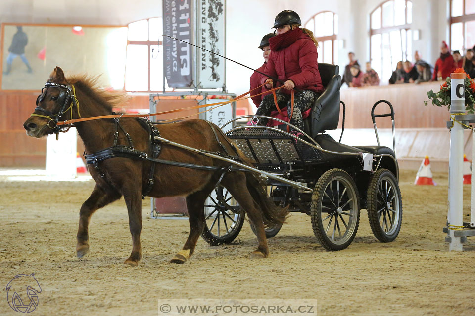 25.2.2017 - spřežení Brno