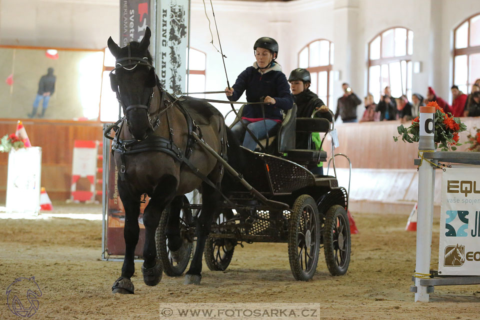 25.2.2017 - spřežení Brno