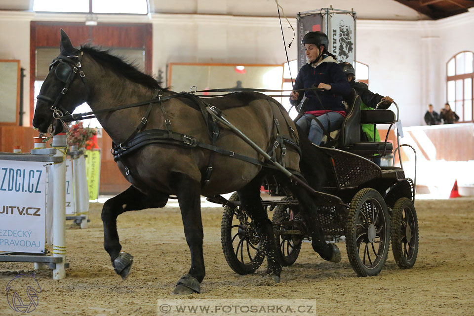 25.2.2017 - spřežení Brno