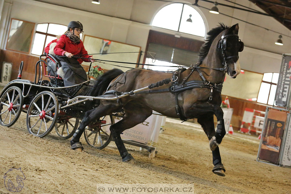 25.2.2017 - spřežení Brno