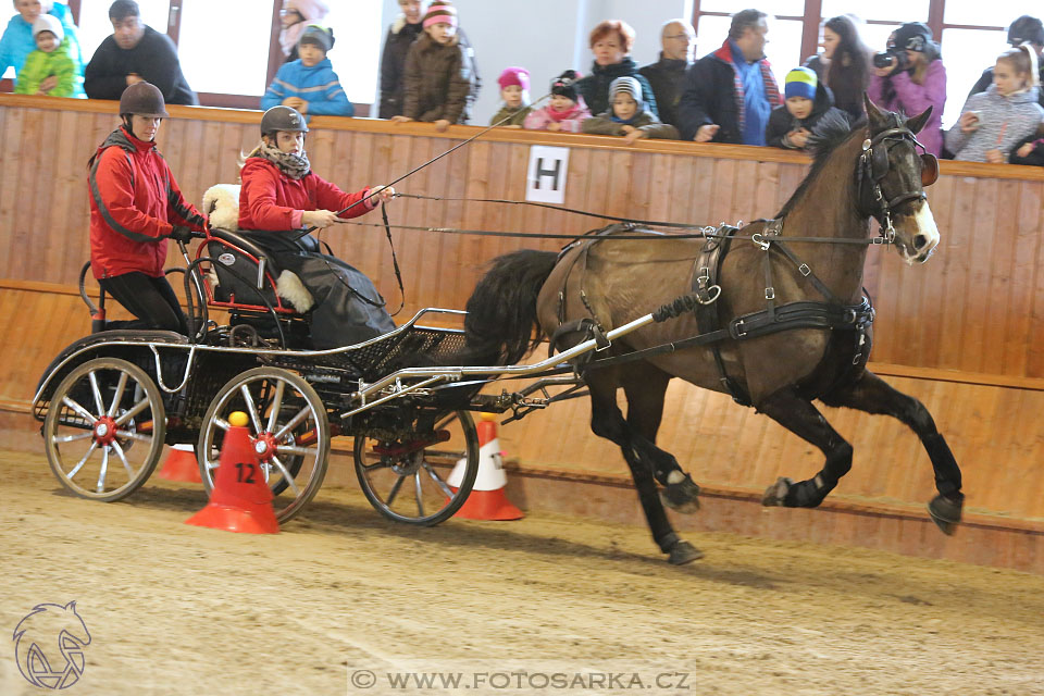 25.2.2017 - spřežení Brno