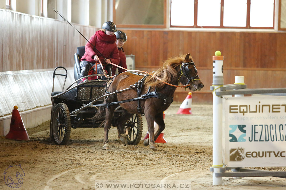 25.2.2017 - spřežení Brno