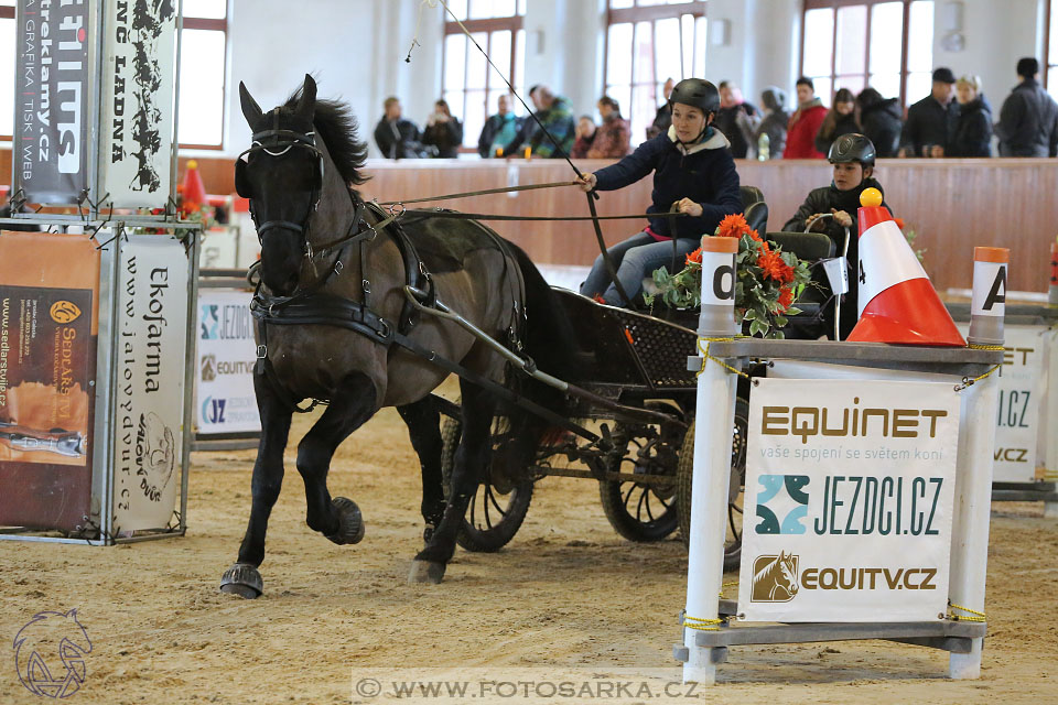 25.2.2017 - spřežení Brno