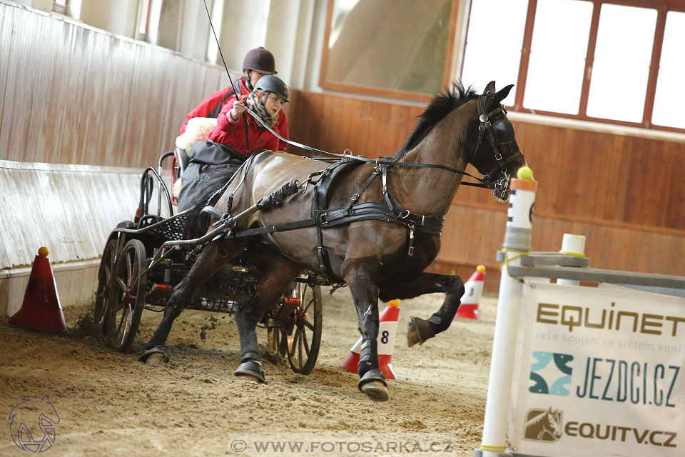 25.2.2017 - spřežení Brno