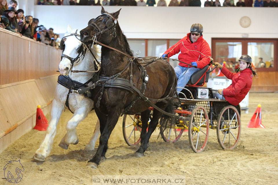 25.2.2017 - spřežení Brno